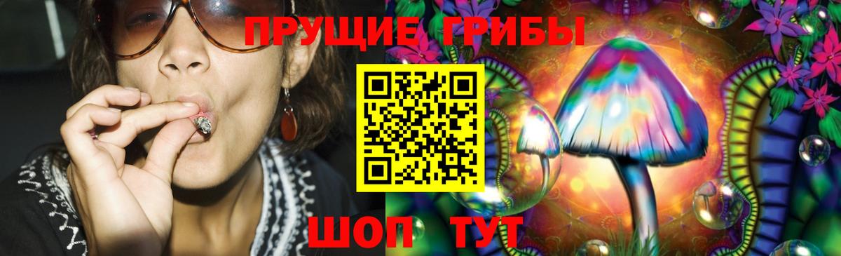 Галлюциногенные грибы Cubensis Ахтубинск